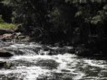 /album/galeria-de-fotos1/tg-jpg/